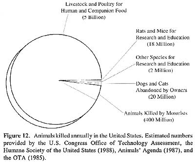 Pie Chart Animal Testing