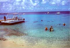 bonaire marine park