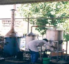 extraction
