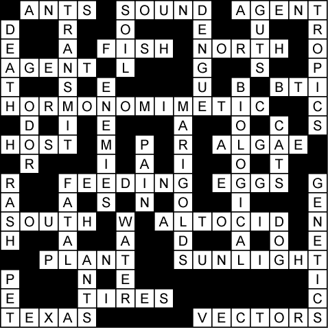 Crossword Puzzles on Crossword 4 78 Solution Gif