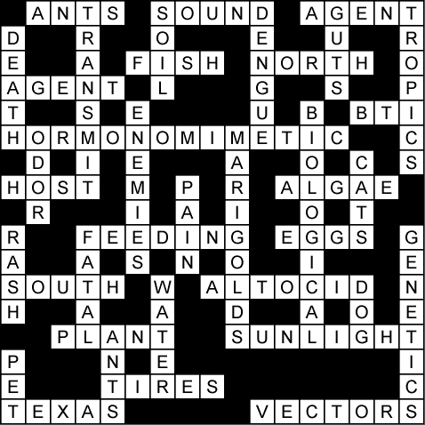 Crossword Puzzles on Crossword Puzzle   Reducing Dengue Disease