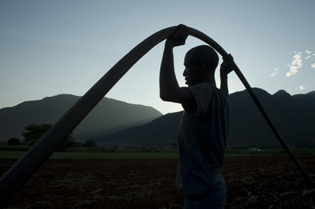 The groundwater boom in Asia has increased the productivity of many farmers: but careful analysis is now needed to manage this sustainably. The groundwater potential for African farmers is huge and new research is seeking to identify the most cost effective opportunities.  Photo: Graeme Williams/IWMI