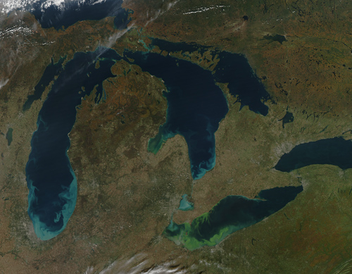 Toxic Algae Bloom in Lake Erie: The green scum shown in this image, taken in October 2011,is the worst algae: bloom Lake Erie has experienced in decades. Such blooms were common in the lake’s shallow western basin in the 1950s and 60s. Phosphorus from farms, sewage, and industry fertilized the waters so that huge algae blooms developed year after year. The blooms subsided a bit starting in the 1970s, when regulations and improvements in agriculture and sewage treatment limited the amount of phosphorus that reached the lake. But in 2011, a giant bloom spread across the western basin once again. The reasons for the bloom are complex, but may be related to a rainy spring and invasive mussels. Vibrant green filaments extend out from the northern shore. The bloom is primarily microcystis aeruginosa, an algae that is toxic to mammals, according to the Great Lakes Environmental Research Laboratory. Several days of calm winds and warm temperatures allowed the algae to gather on the surface.  Microcystis aeruginosa produces a liver toxin, microcystin, that commonly kills dogs swimming in infected water and causes skin irritation for people. Richard Stumpf, an oceanographer with the National Oceanic and Atmospheric Administration, measured 50 times more microcystin in Lake Erie in the summer of 2011 than the World Health Organization recommends for safe recreation. Though not directly toxic to fish, the bloom is not good for marine life. After the algae dies, bacteria break it down. The decay process consumes oxygen, so the decay of a large bloom can leave “dead zones,” low oxygen areas where fish can’t survive. If ingested, the algae can cause flu-like symptoms in people and death in pets.  Photograph and text courtesy of NASA