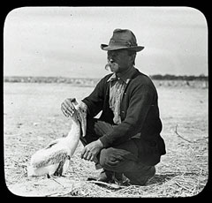 Paul Kroegel, Pelican Island National Wildlife Refuge.: Photograph courtesy of NOAA