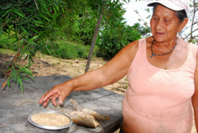 Margarita Amabeja holds out her hands full of golden rice grains and rough brown manioc roots: Margarita Amabeja holds out her hands full of golden rice grains and rough brown manioc roots - the first results of a strategy to adjust the agricultural cycles to the seasonal floods and droughts in the vast plains of Beni, in northeastern Bolivia. Photograph by Franz Chávez/IPS