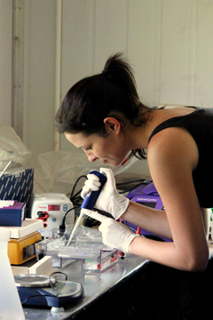 Researcher Sarah Jobbins works in a CARACAL field laboratory in Chobe, Botswana, testing for leptospirosis.: “Human waste in these systems … can be ubiquitous and can influence contact between humans and wildlife and disease transmission in these systems.”   “CARACAL is committed to the conservation of wildlife and improving the livelihoods of communities that must live with this resource in Chobe Botswana. Through a combination of research, outreach and education, we work closely with local communities to secure a sustainable future.” Photograph courtesy of I. Moore, CARACAL and caption text is from the CARACAL Web site available at http://www.caracal.info/CARACAL/Welcome_1.html.