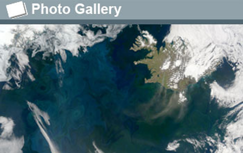 The North Atlantic Bloom: swirling artwork in the sea, plankton bloom in spring, summer.: Photograph courtesy of NASA Earth Observatory