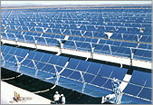 Solar Field