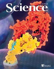 The researchers' work is described in the July 6, 2012 issue of the journal Science.: Photograph Copyright AAAS 2012